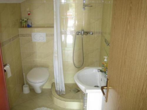  Apartment Ivan Dolac 15483c in Jelsa