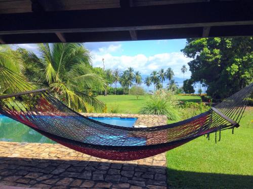 Jungle Retreat in Guadalupe