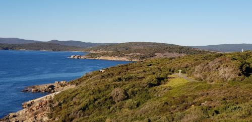 パーク アベニュー ホリディ ユニッツ