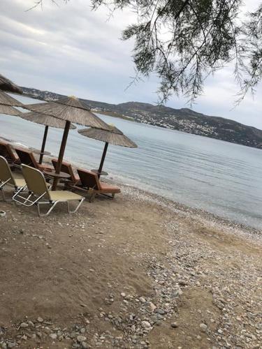 Small house great view in Porto-Rafti gulf