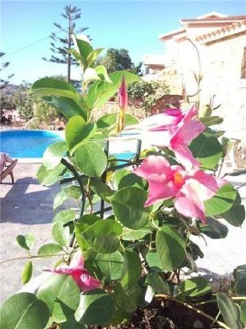La finestra sul mare
