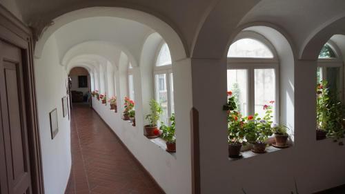 Palazzo Cusani in Солопака