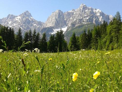 House Neza - image 13