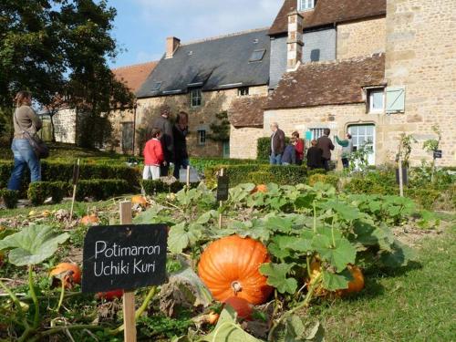 haras de la croix dargent