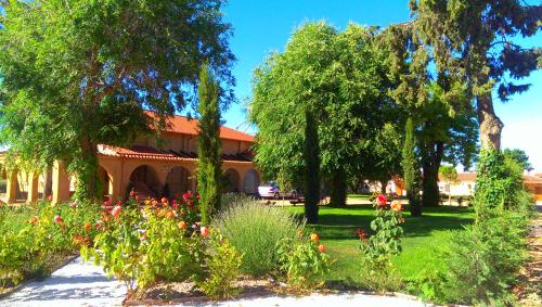 Accommodation in Mota del Marqués