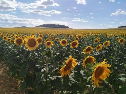 La Aldea Colorada Casa Rural
