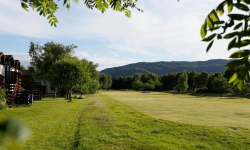 Macdonald Spey Valley Resort - image 10