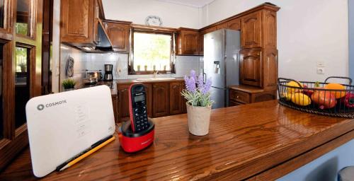 The House of Art in 이스트미아