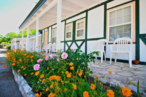 Вхід, Peach Tree Inn & Suites in Фредериксбург