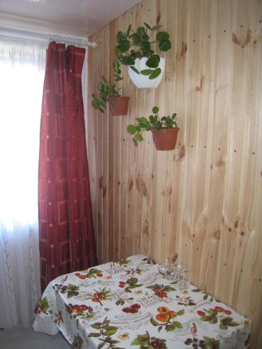 Mini-hotel Kamianets - image 2