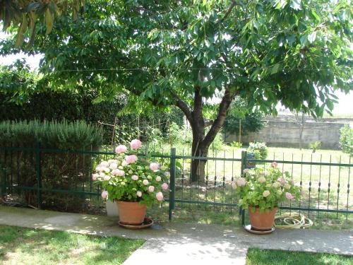 Apartment Svagi - image 14