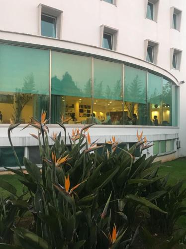 Hotel Santa Maria - image 6