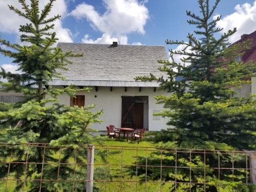 Stevan's house, Žabljak