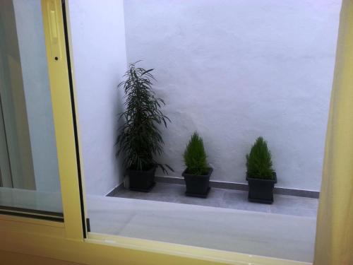 Apartamento Mendoza, Sevilla (Foto 6)