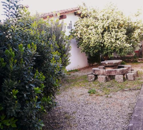 La Casa de la Abuela - image 9