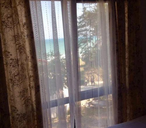 Dream View - image 8