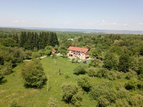 Accommodation in Vistisoara