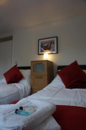 Holt Apartment - image 3