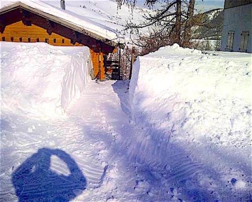 Haut de Chalet L'entasse n°9