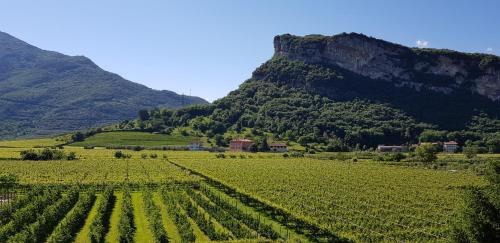 Agritur Girasole - image 5