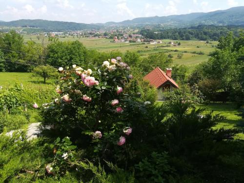 Kuća Za Odmor Barbara