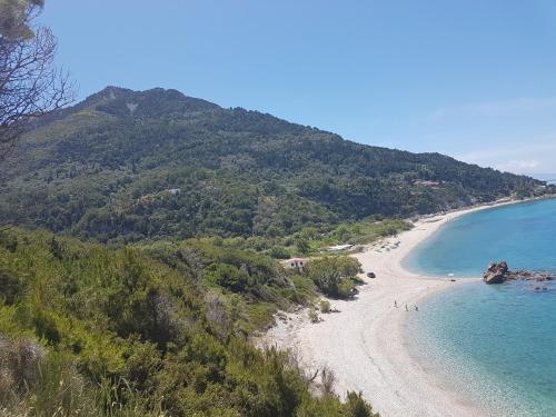 Beach, Villa Antonio in Samos Island