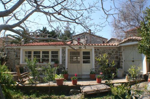 Arcadia Eressos Lesvos