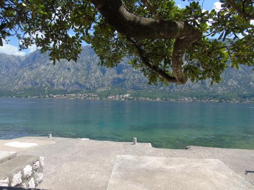 Apartments Marysol in Prcanj