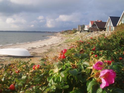 playa, Glyngøre Bed & Breakfast in Roslev