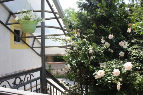 Hotel Pansion Stari Grad - image 12