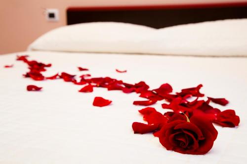 Deluxe Double Room with Spa Bath  image 5