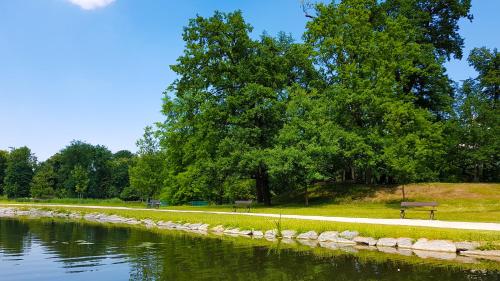 Hotel Schwaiger - image 8