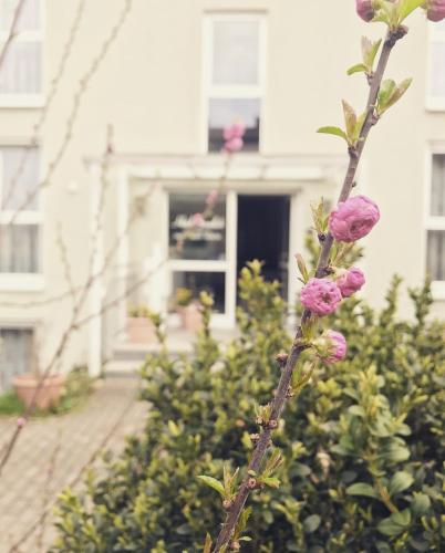 Hotel Gramlich - image 12