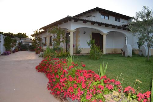  I Giganti in Riola Sardo