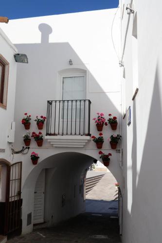 Hostal Arco Plaza - image 5