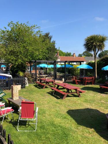 Have, Cherry Tree Pub in Woodbridge