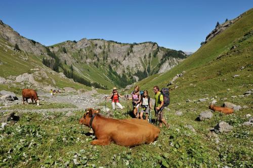 Azureva La Clusaz les Confins