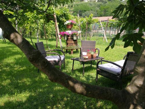 花園, B&B Pontesello in 科隆諾拉艾科利