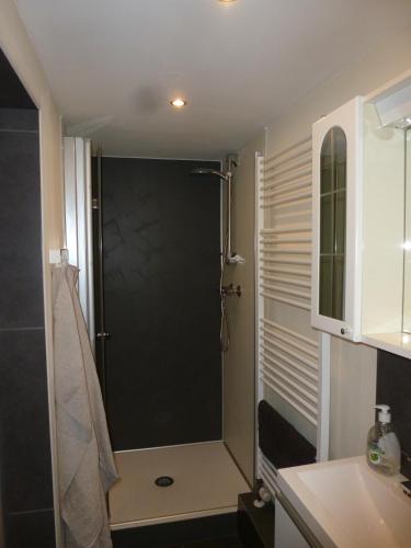 Ferienwohnung Großmann, Drážďany (fotografie 10)