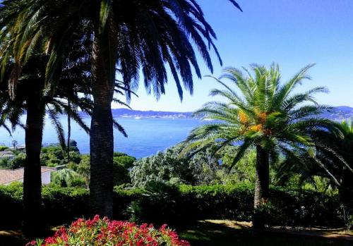 Hotel Villa Des Anges - image 2
