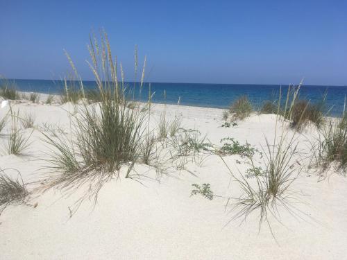 Casa sulla Spiaggia- Mortelle