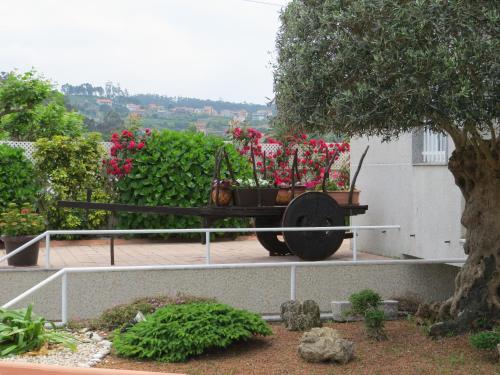 Hotel Nuevo Lanzada - image 8