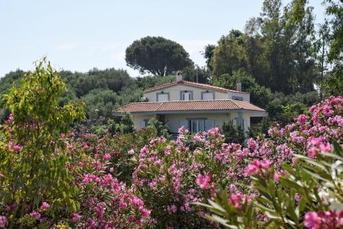  Marias home in Panormos