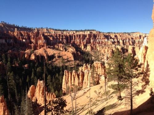 Bullberry inn Bed & Breakfast in ทรอปิค