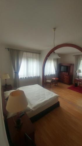 Hotel U Dobrého Lva