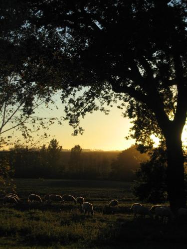 La Ferme Montplaisir