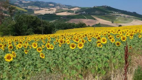 赛拉乌纳沃尔塔公寓式酒店