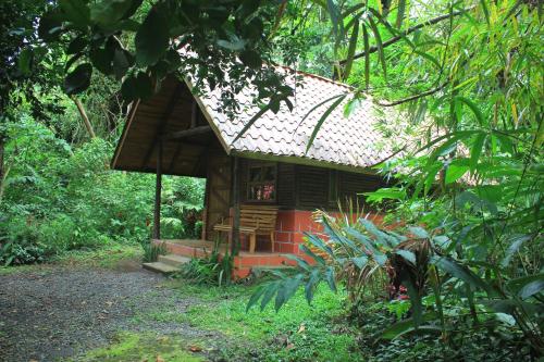 Arenal Oasis Eco Lodge & Wildlife Refuge, Fortuna (photo 7)