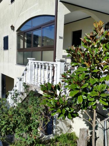  Casa do Douro in Resende