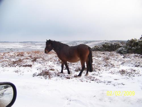 Cypress Log Cabins Accommodation - main image